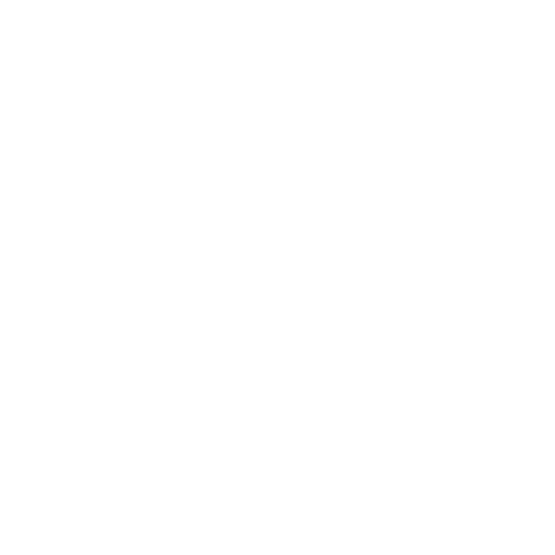 03-baronesa